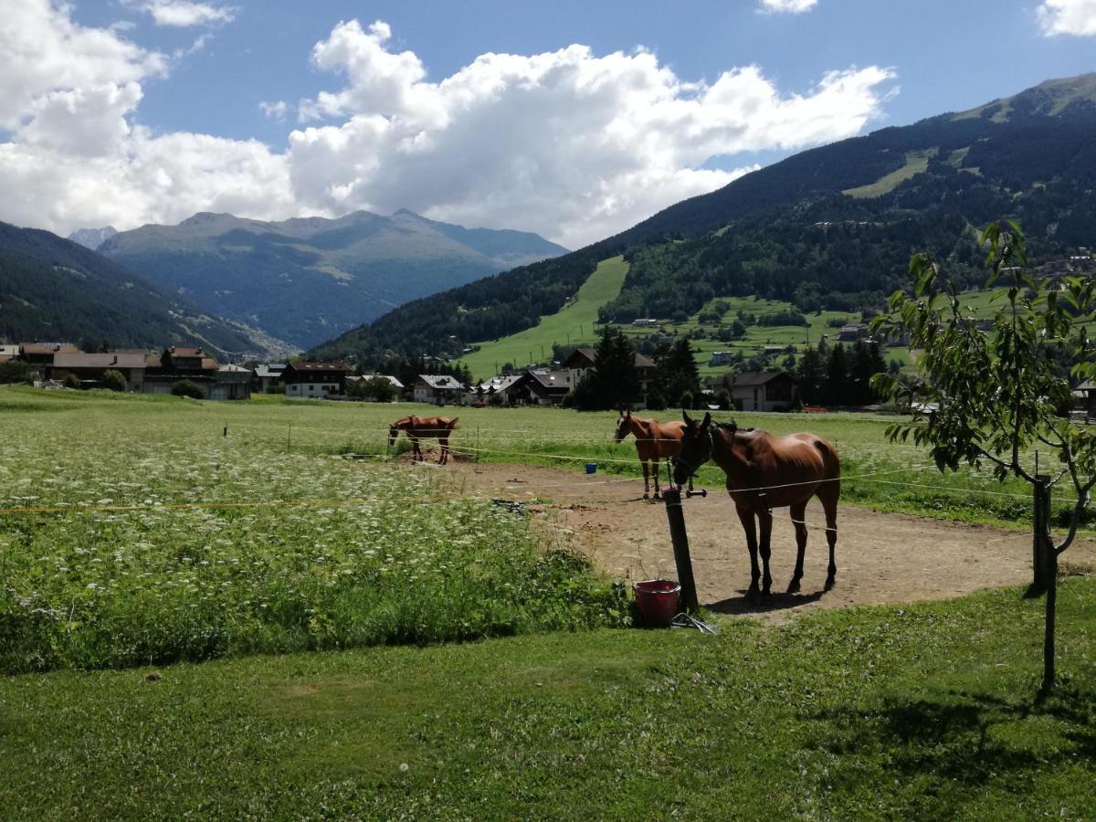 Casa Giulia Daire Bormio Dış mekan fotoğraf