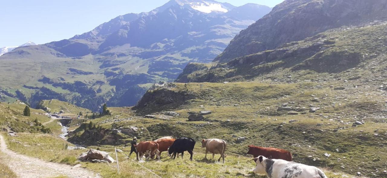 Casa Giulia Daire Bormio Dış mekan fotoğraf